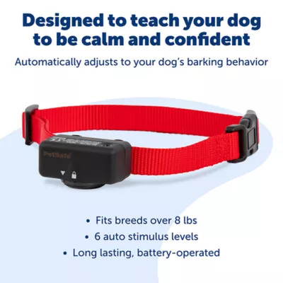 PetSafe Basic Bark Control Collar for Dogs 8 lb. and Up Anti Bark Training Static Correction