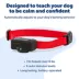 PetSafe® Basic Bark Control Collar for Dogs 8 lb. and Up - Anti-Bark Training - Static Correction image thumbnail 3