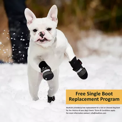 Product Muttluks Fleece-Lined Dog Boots