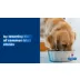 Hill's® Prescription Diet® c/d Multicare Urinary Care Adult Dog Food - Chicken video thumbnail 8