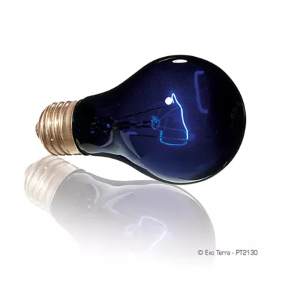 Exo Terra® Night Heat Lamp - Image 2