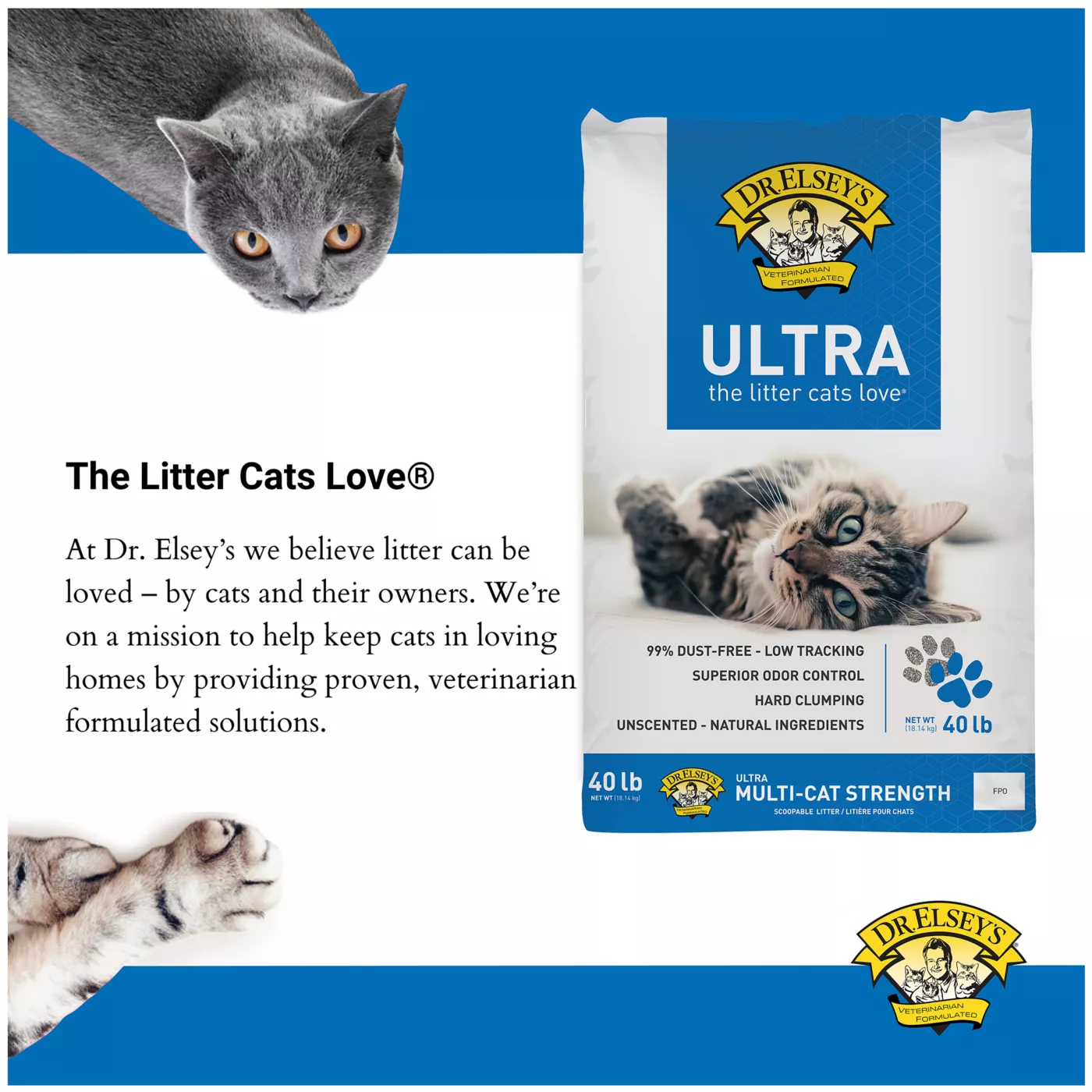 Dollar store cat litter best sale