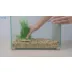 Top Fin® Premium Glass Aquarium - 5 Gallon video thumbnail 6