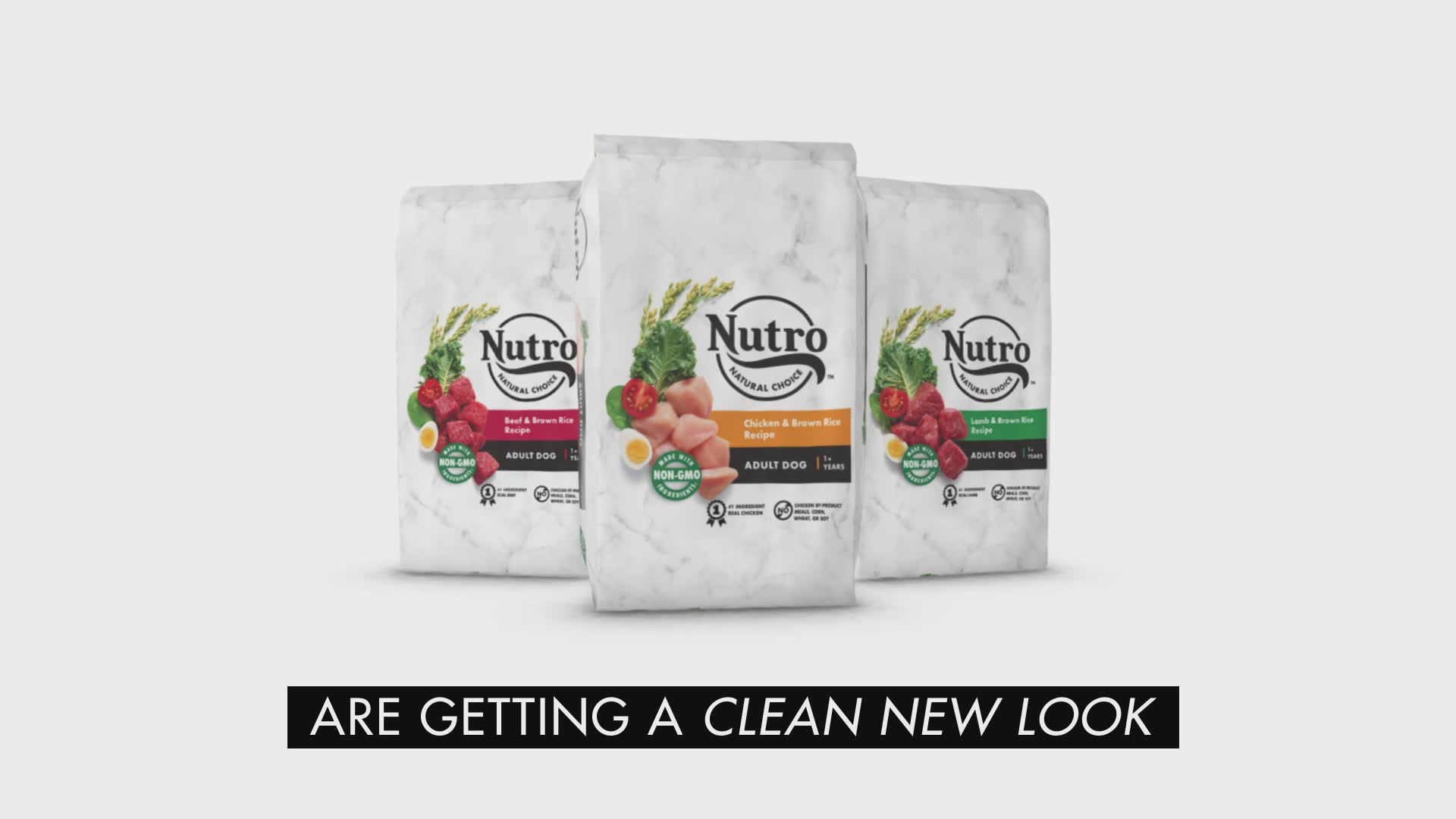 Nutro Natural Choice Large Breed Puppy Dry Dog Food Chicken Brown Rice