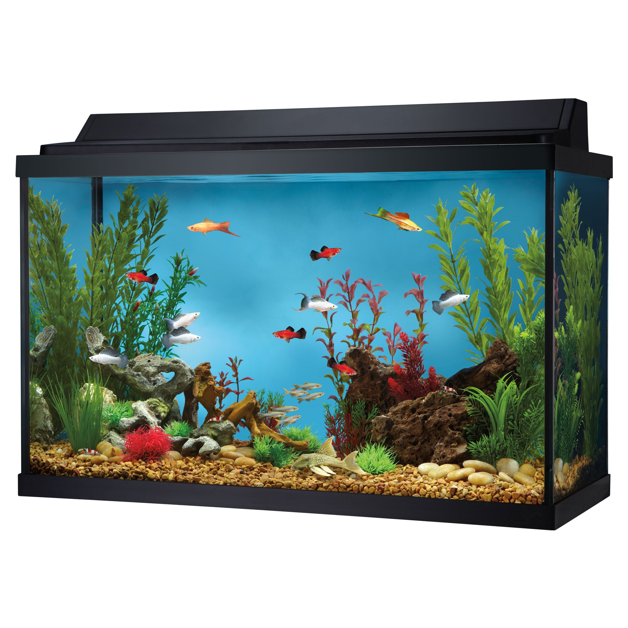 Top Fin\u00ae 29 Gallon Hooded Aquarium  fish Aquariums  PetSmart