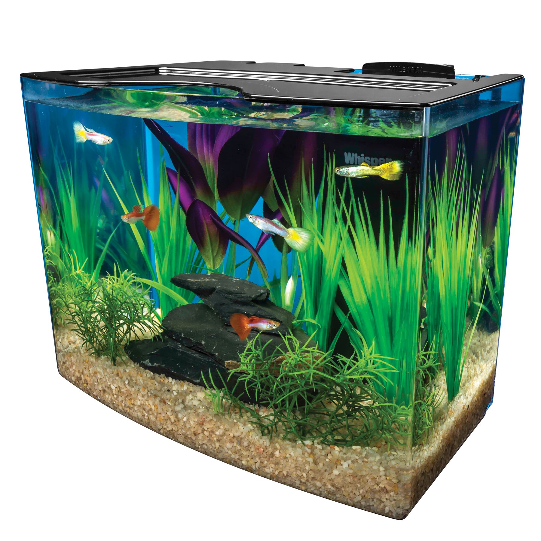 Marineland\u00ae 3 Gallon Nook Aquarium System  fish Starter Kits  PetSmart