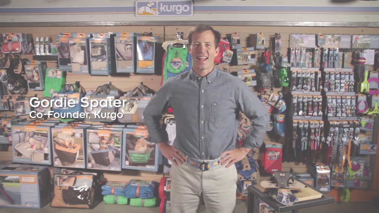 petsmart car harness