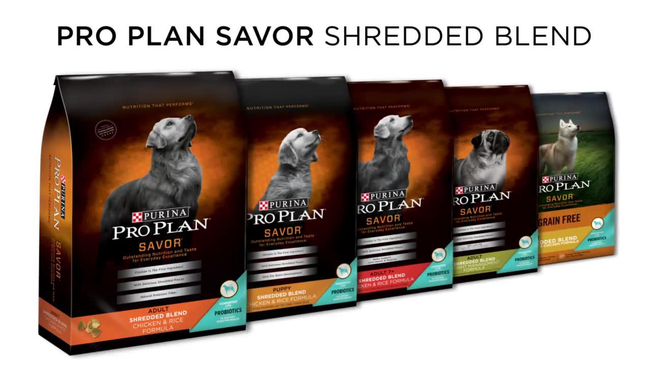 purina pro plan shredded blend