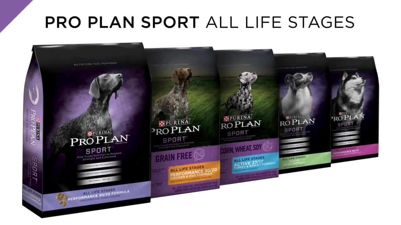 purina sport