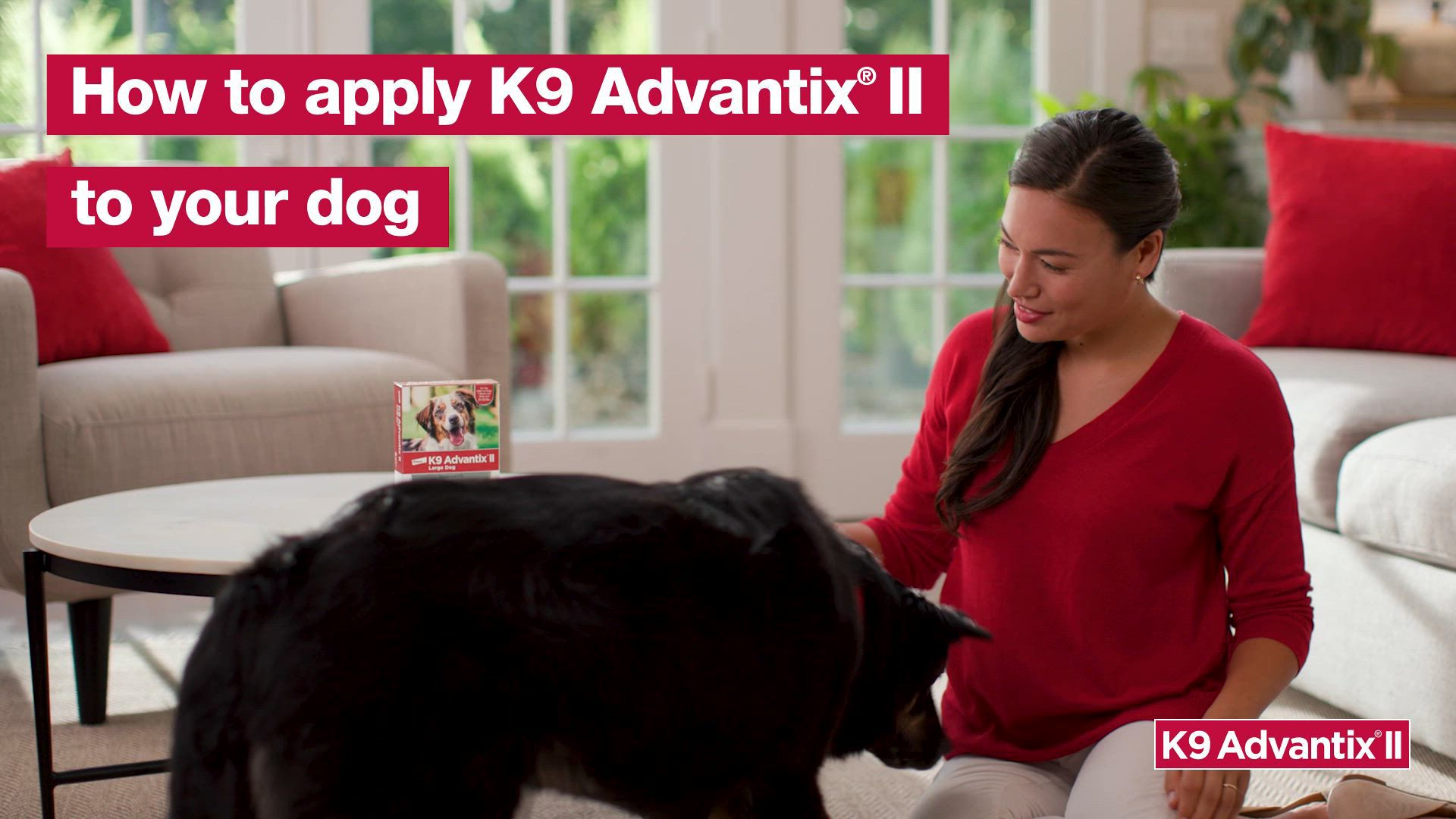 K9 Advantix® II Over 55 lbs Dog Flea & Tick Treatment
