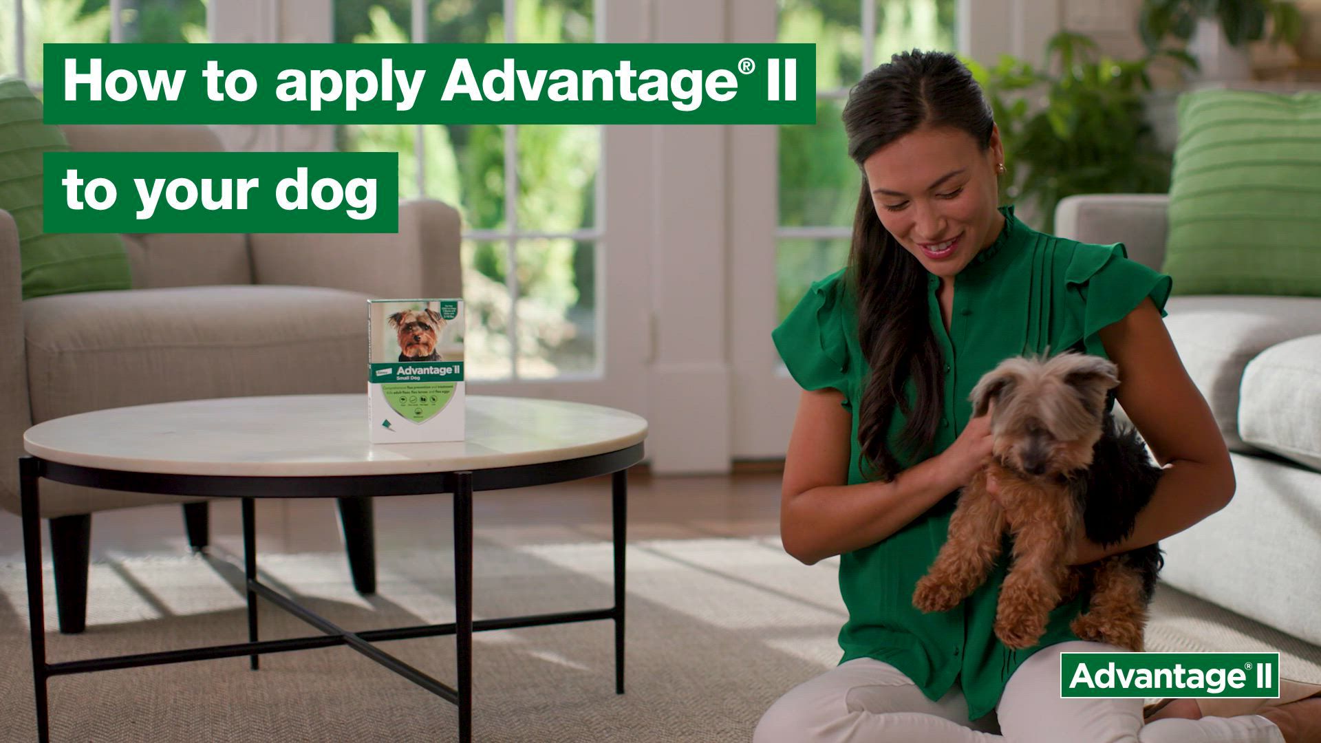 Advantage® II 21-55 lbs Dog Flea & Lice Treatment