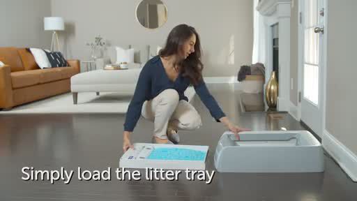 disposable crystal litter tray