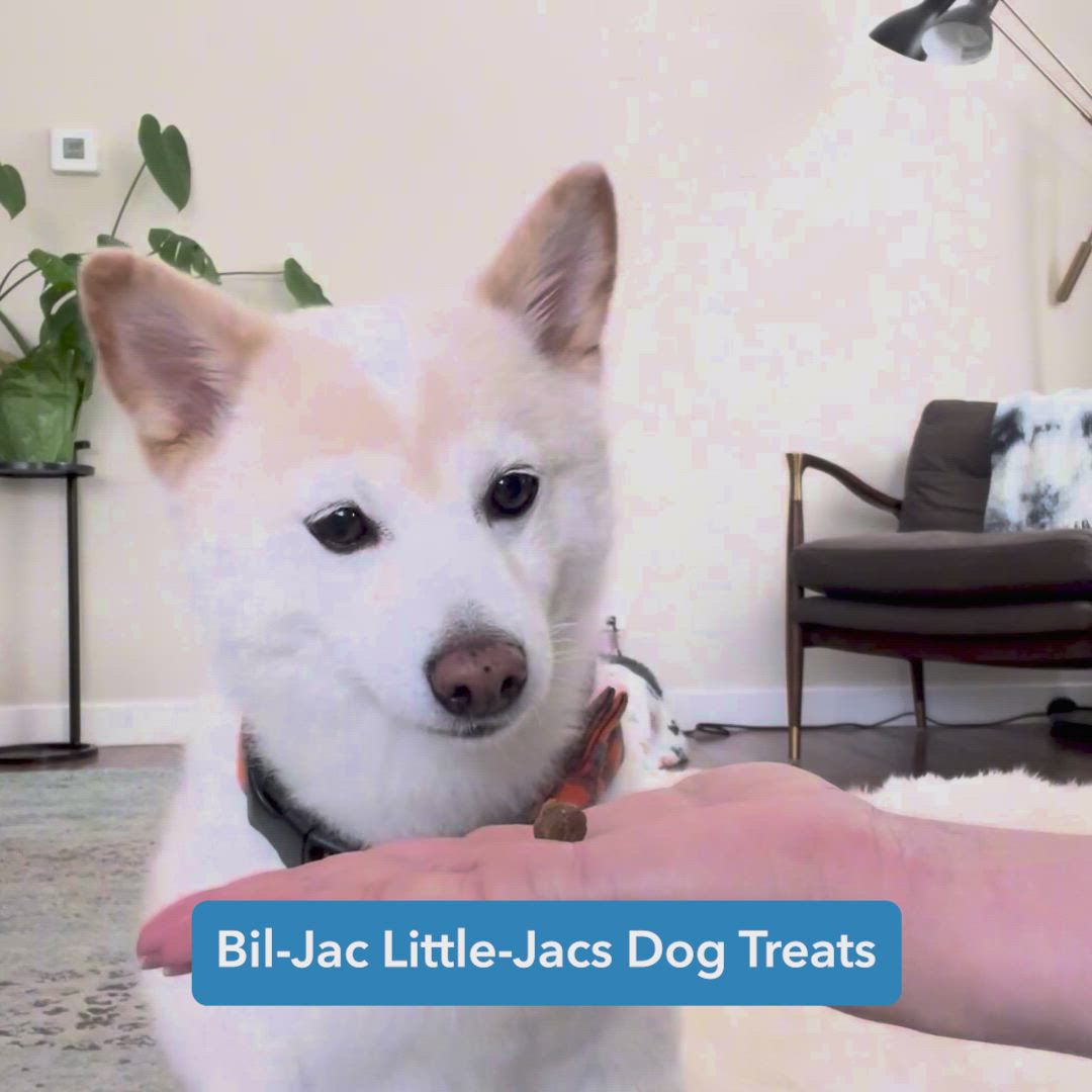 Bil Jac Little Jacs Training Dog Treat