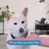 Bil-Jac® Little-Jacs All Life Stages Training Dog Treat - Chicken Liver video thumbnail 8