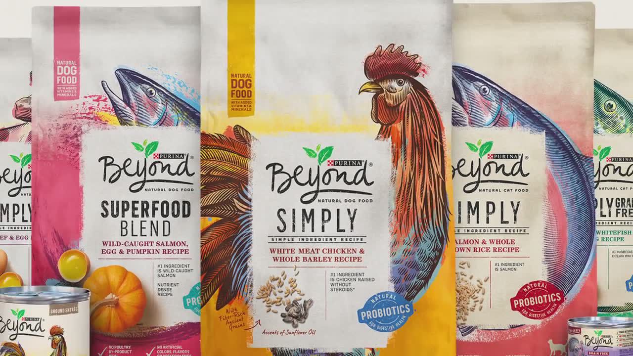 purina one beyond cat food discontinued