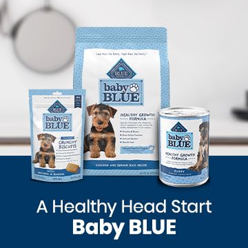 Baby BLUE