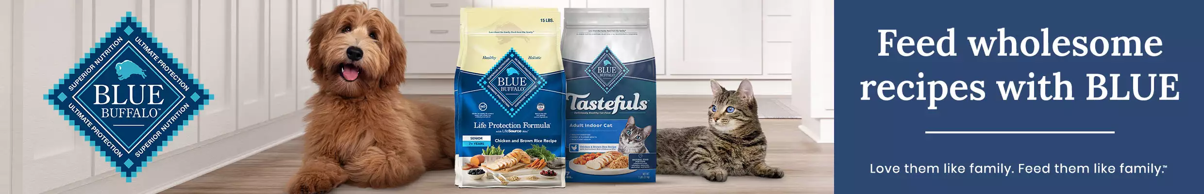 Feed Wholesome recipes with BLUE