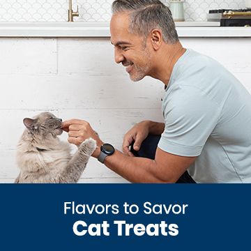 Cat Treats