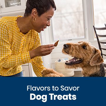 Dog treats