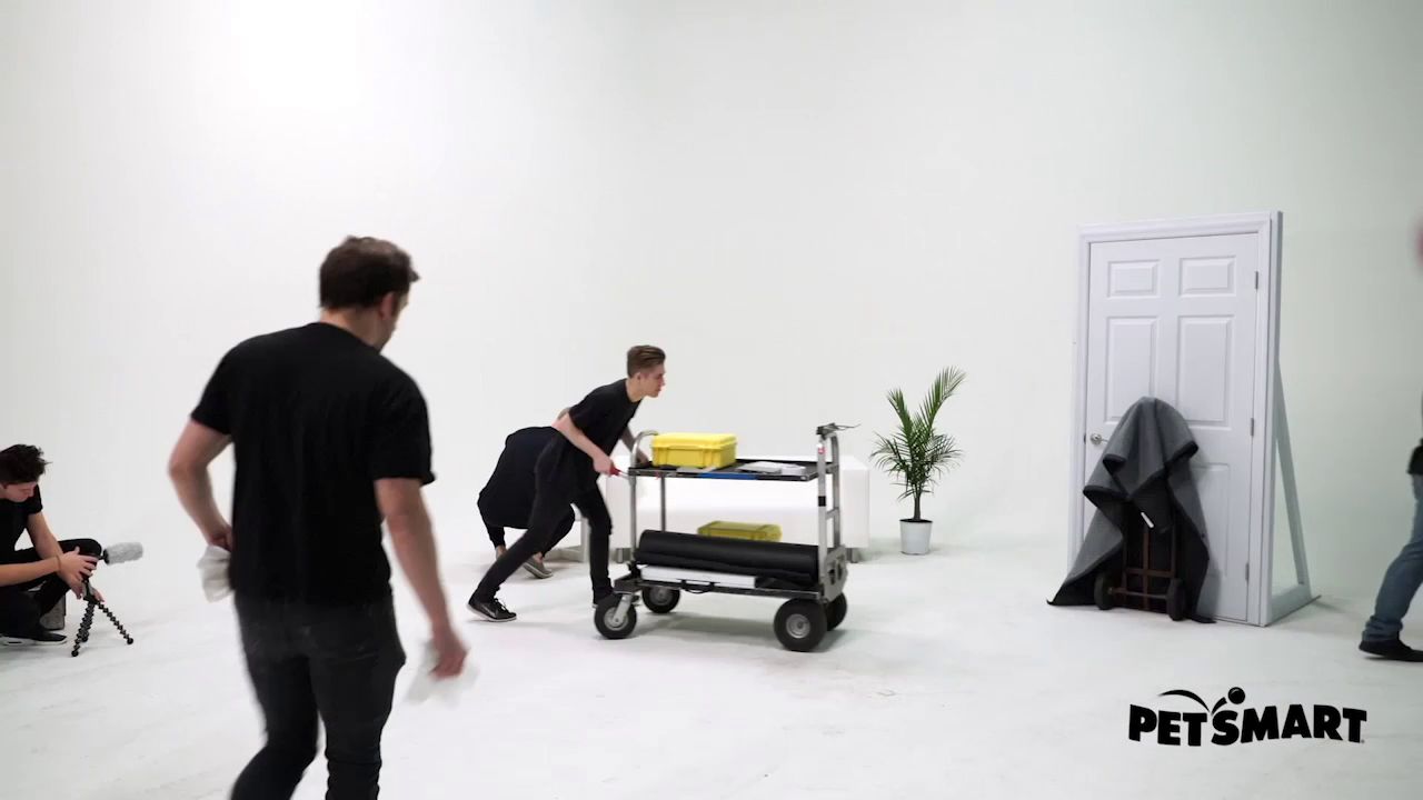 blue buffalo small breed petsmart