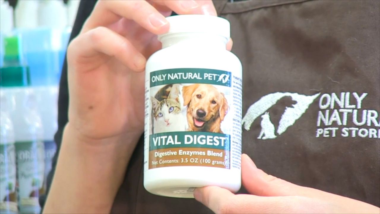 digestive enzyme supplements for dogs