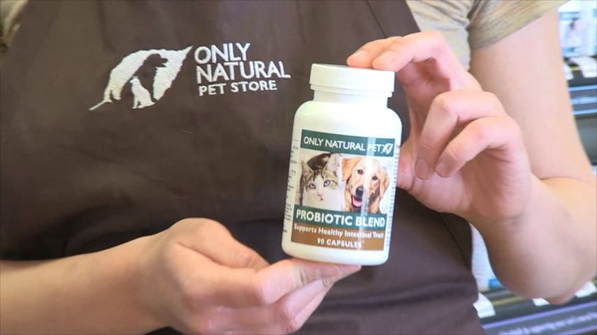 probiotics at petsmart