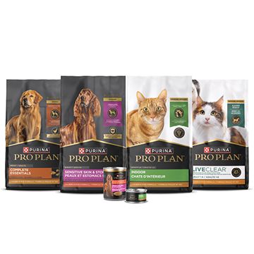 Product display featuring a range of Purina Pro Plan product portfolio for dogs & cats