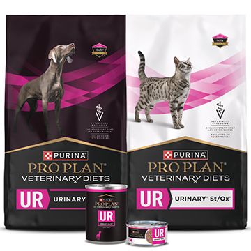 Product display featuring a range of prescription Purina Pro Plan Veterinary Diets Urinary support products for dogs & cats