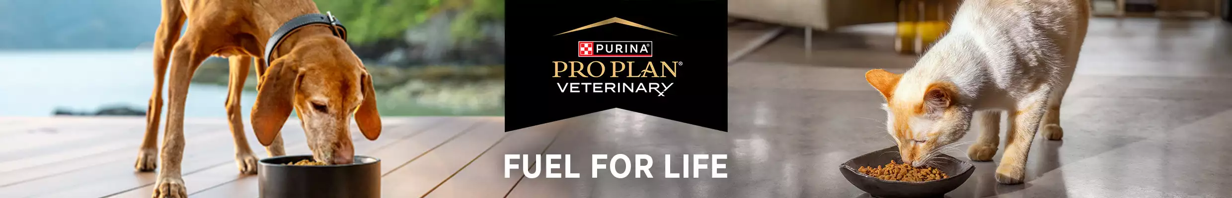 Purina Pro Plan Veterinary webpage header featuring a dog & cat eating from black bowls, with the slogan 'Fuel For Life' & logo