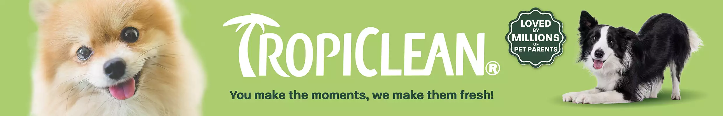 Tropiclean green banner