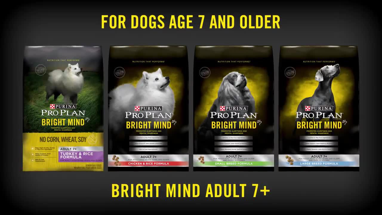 purina bright mind dog food