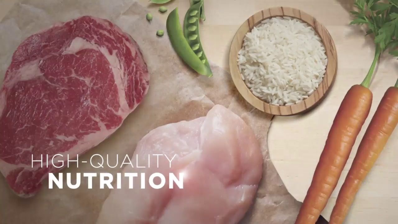 purina one small bites chicken and rice