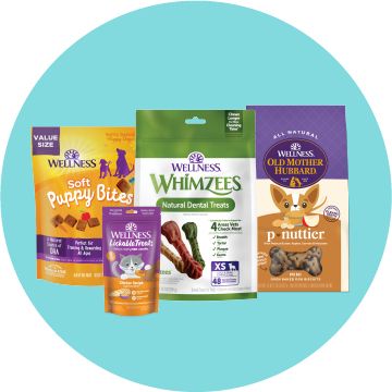 Wellness, Whimzees and Old Mother Hubbard dog and cat treats on a blue background