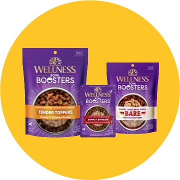 Wellness Boosters dog food toppers on a yellow background