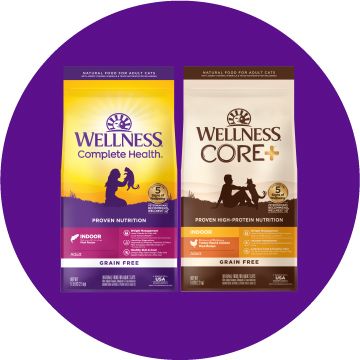 Wellness Complete Health and Core plus dry cat food bags on a purple background