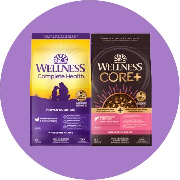 Wellness Complete Health and Core plus dry dog food bags on a purple background