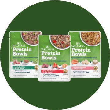 Wellness Protein Bowls wet dog food packages on a green background