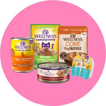 Wellness wet cat food pouches and cans on a pink background