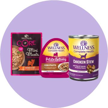 Wellness Complete Health and Core wet dog food can and pouches on a purple background
