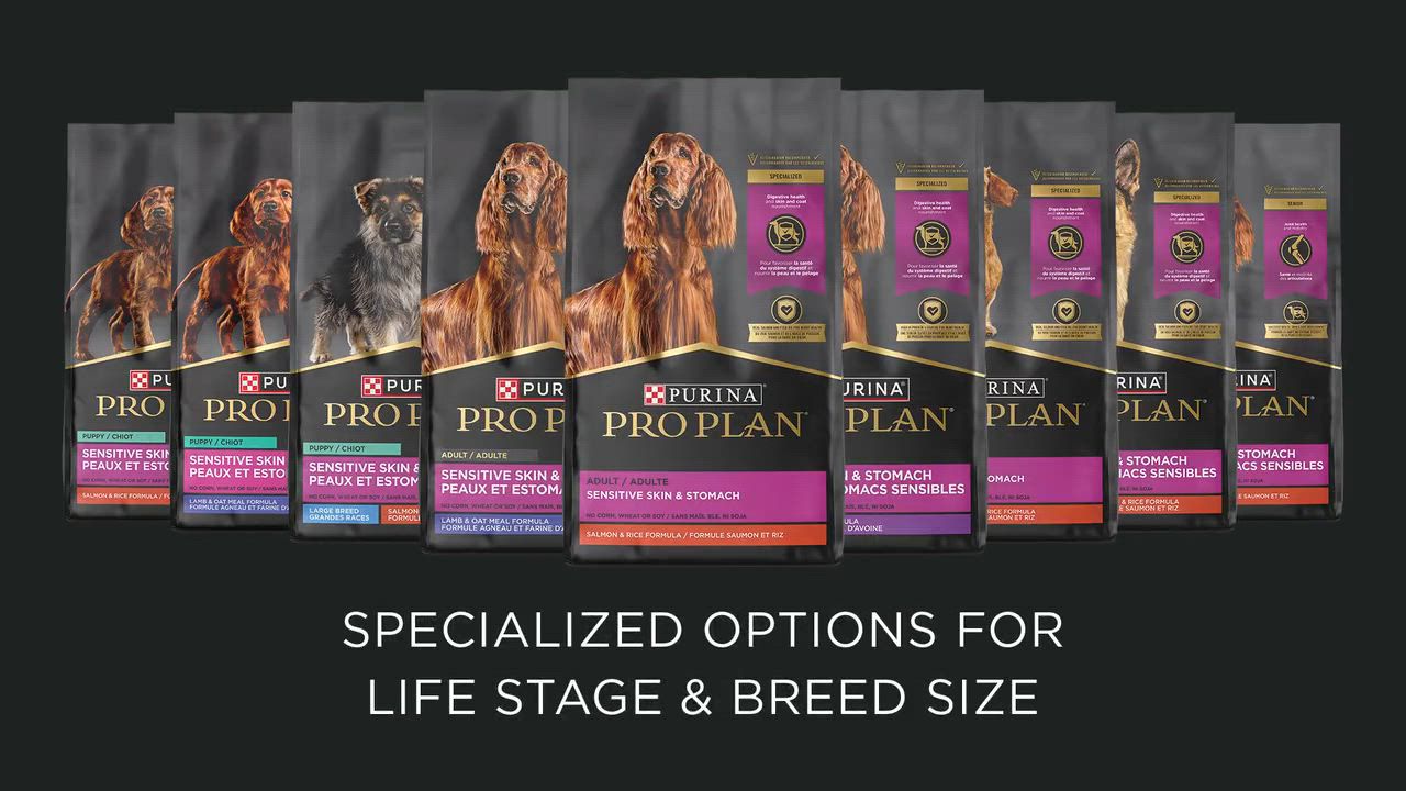 purina pro plan focus sensitive skin and stomach lamb and oatmeal