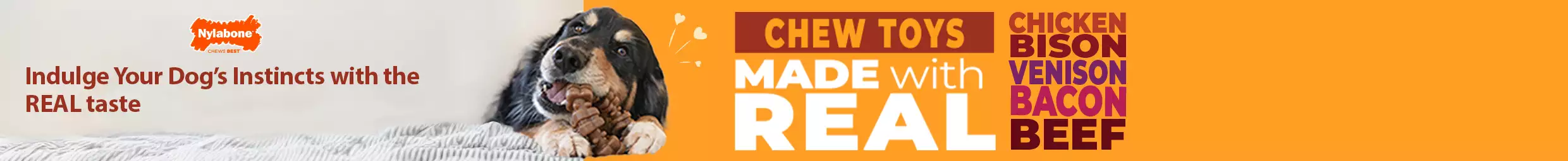 Dog chewing on Nylabone chew