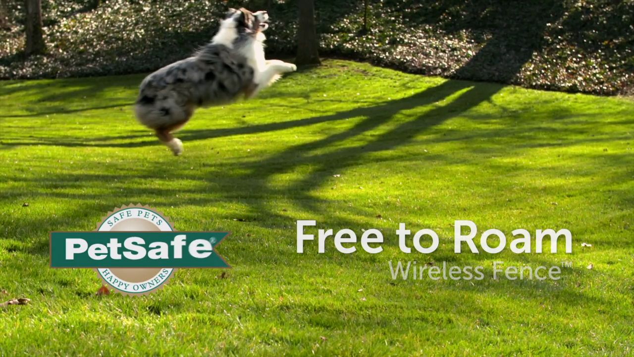 wireless dog fence for large yards