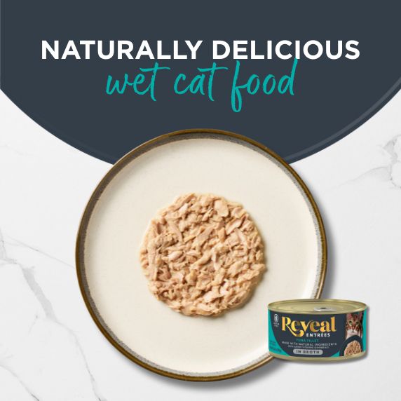 An image of a plate of wet cat food, tuna in broth, and the can next to the plate.