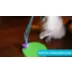 KONG® Sway N' Play Cat Toy video thumbnail 6