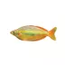 Australian Rainbowfish image thumbnail 1