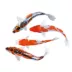 Koi image thumbnail 1