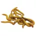 Live Giant Mealworms - 35 Count Cup image thumbnail 1