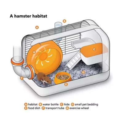 Product Long-Haired Hamster