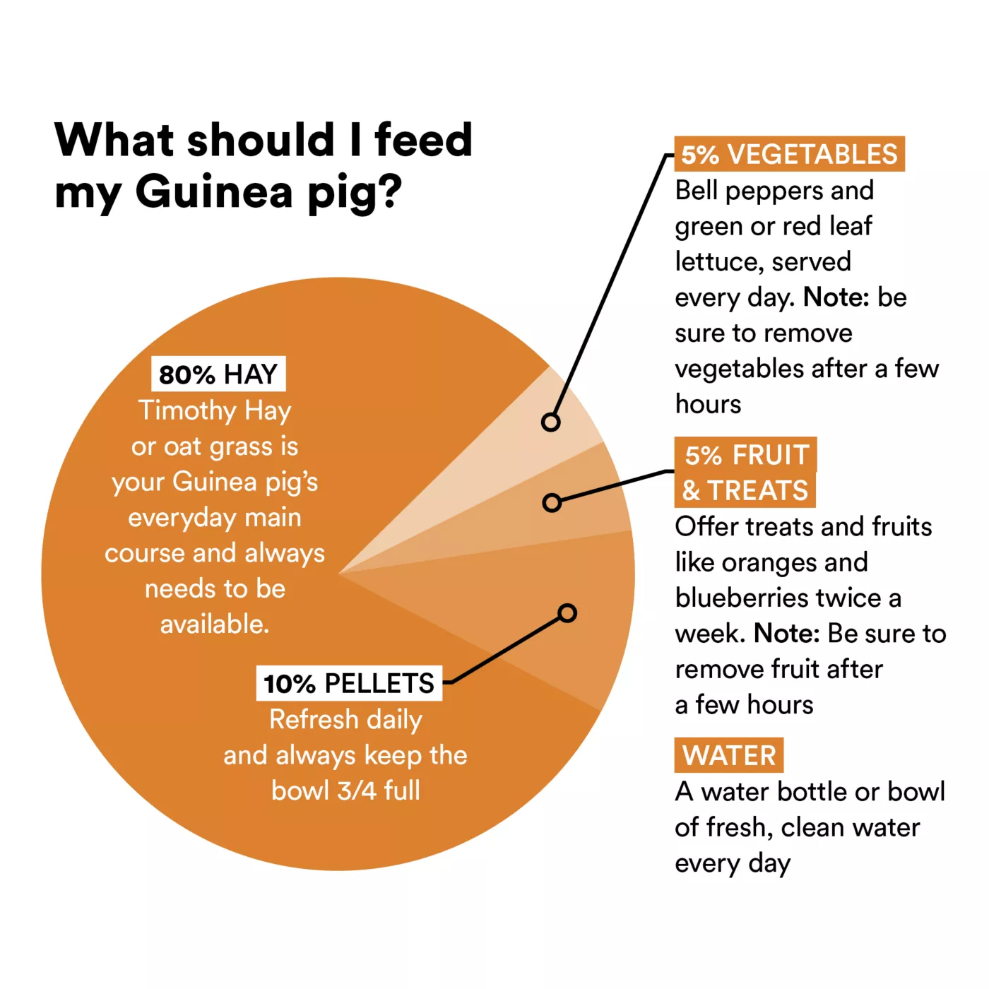 Guinea pig food bowl petsmart hotsell