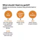 Product Gerbil